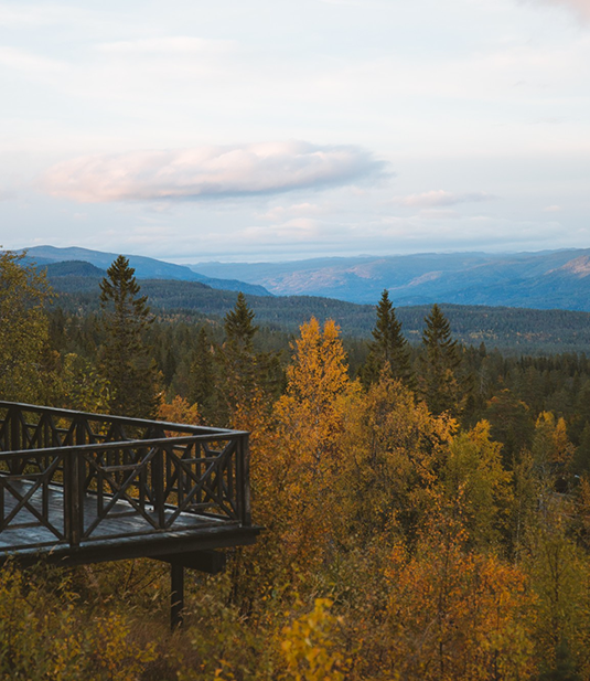 Landscape Leisure